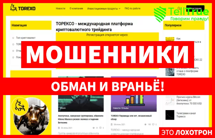 Torexo – реальный заработок на криптовалюте или очередной развод от дешевого хайп-проекта?