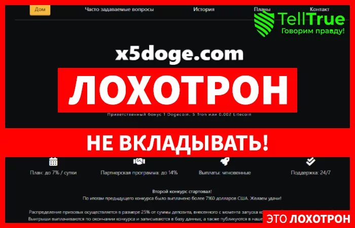 X5Doge главная