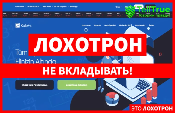 KaleFX — обзор и отзывы