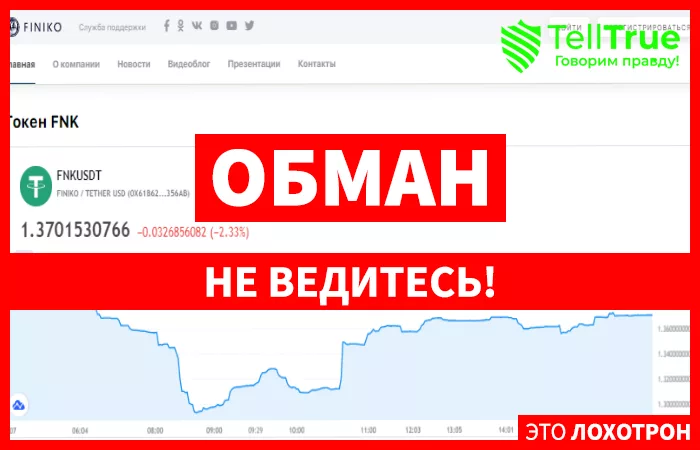 Скам Финико — история краха финансовой пирамиды