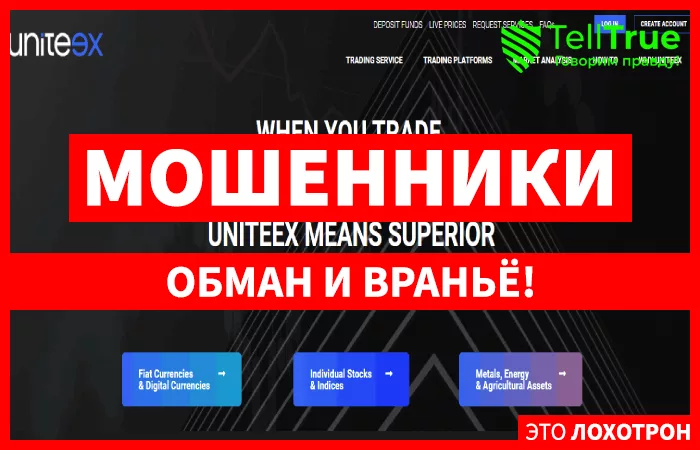 Uniteex Inc — обзор и отзывы