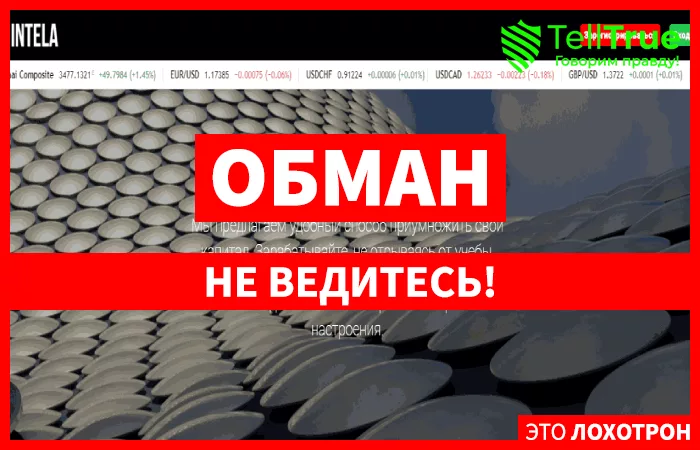 Intela — обзор и отзывы