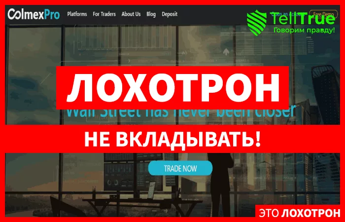 Colmex Pro — обзор и отзывы