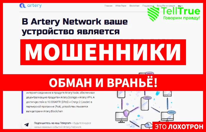 Artery Network — обзор и отзывы