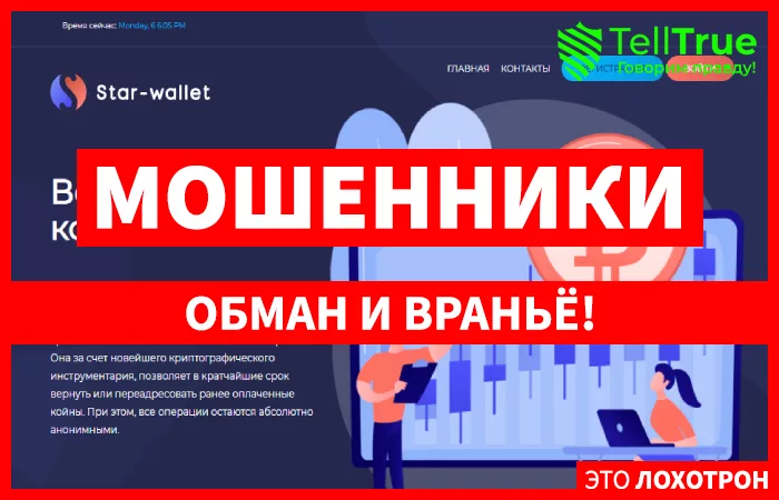 Star-wallet — обзор и отзывы