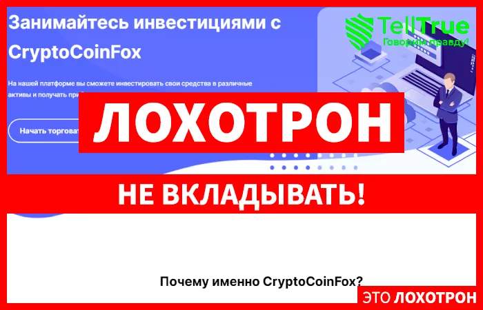 CryptoCoinFox