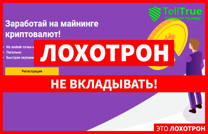 MONEY MINER