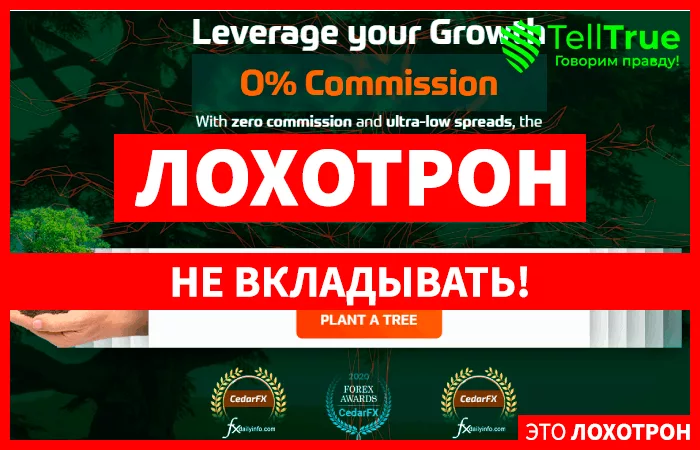 CedarFX