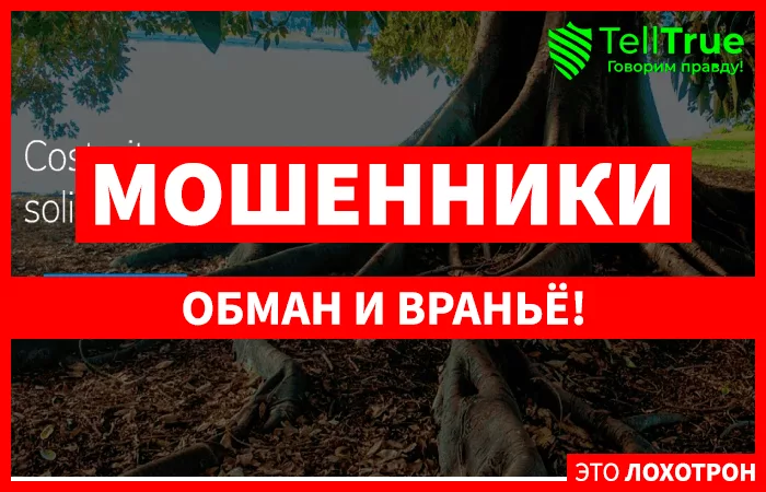 LionFxm
