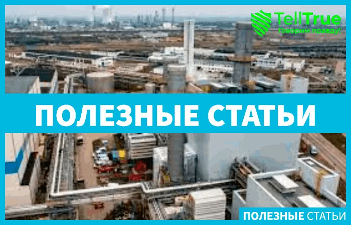 Япония не страхует компании из России