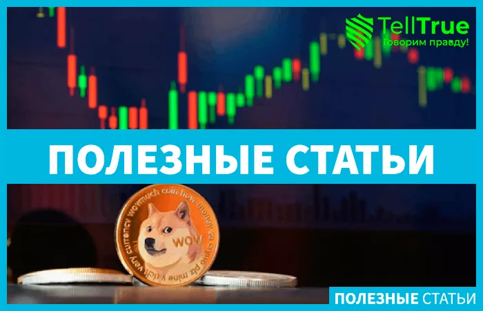 Илон Маск покупает Твиттер