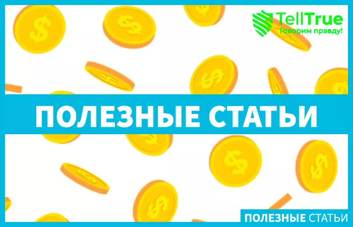 обналичка капитала Пантера