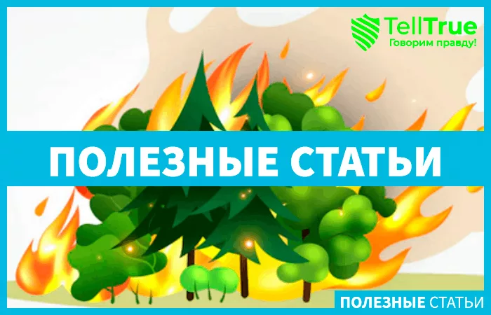 пожары в РФ
