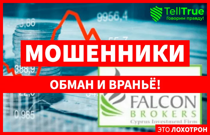 Falcon Brokers