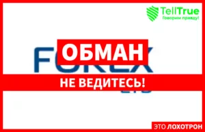 Forex Ltd