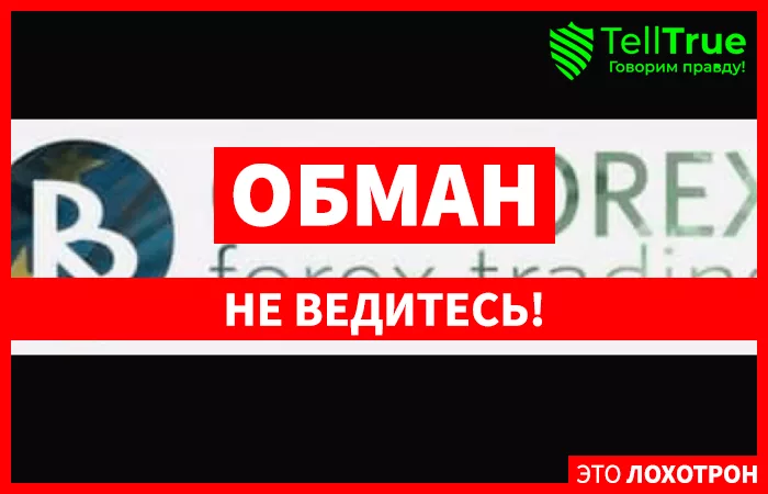 OBR Forex