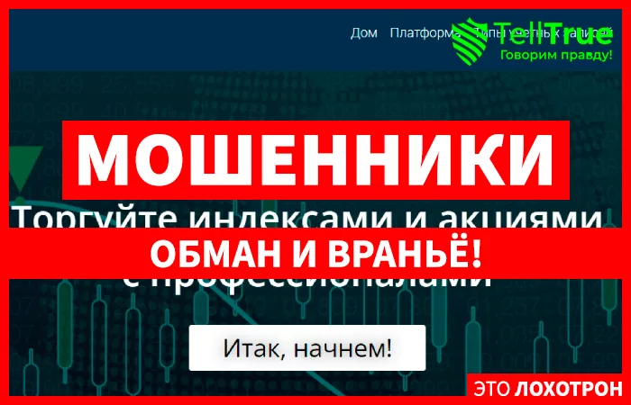 Kortex