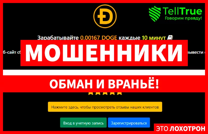 Dogerewards