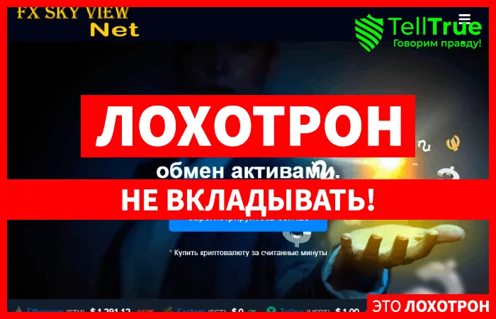 Fxskyviewnet лжеброкер