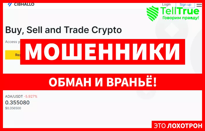 Cibhallo