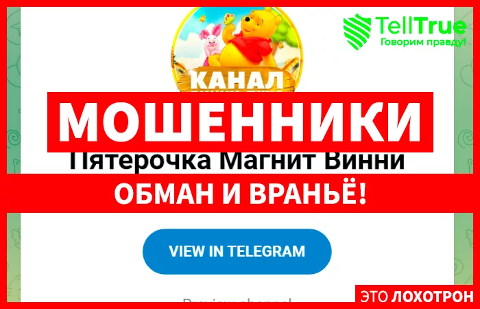 Пятерочка Магнит Винни