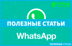 WhatsApp в России больше не работает! Где еще есть такая проблема?