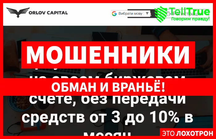 Orlov Capital
