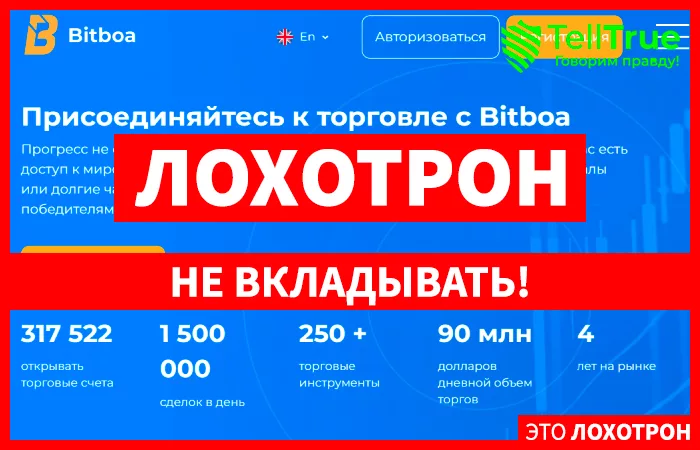 BitBoa