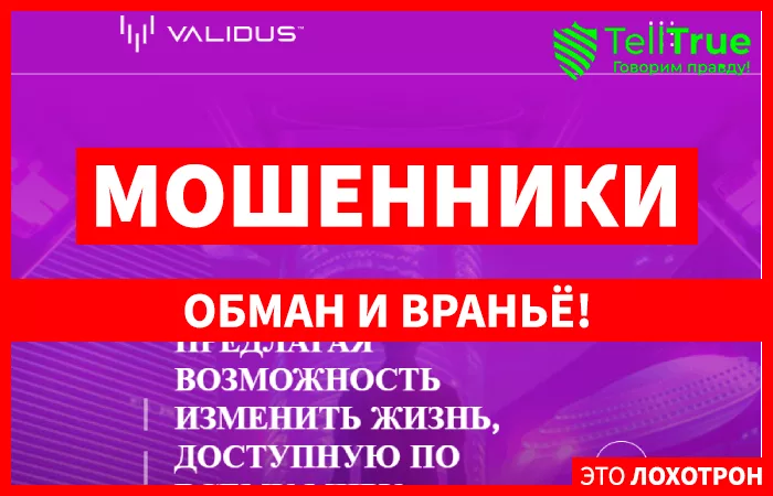 Validus