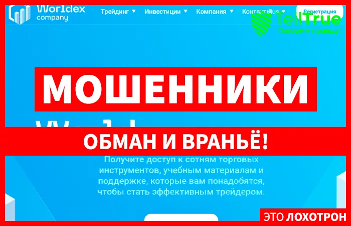 Worldex Company