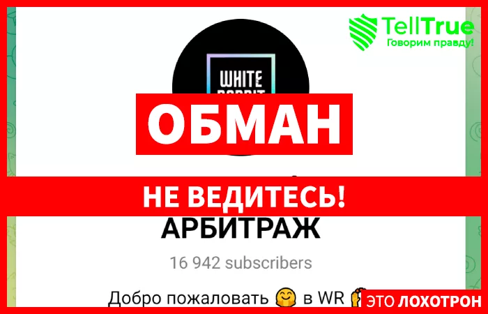 White Rabbit