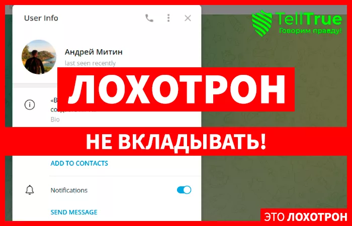 Андрей Митин (@Mitin91)