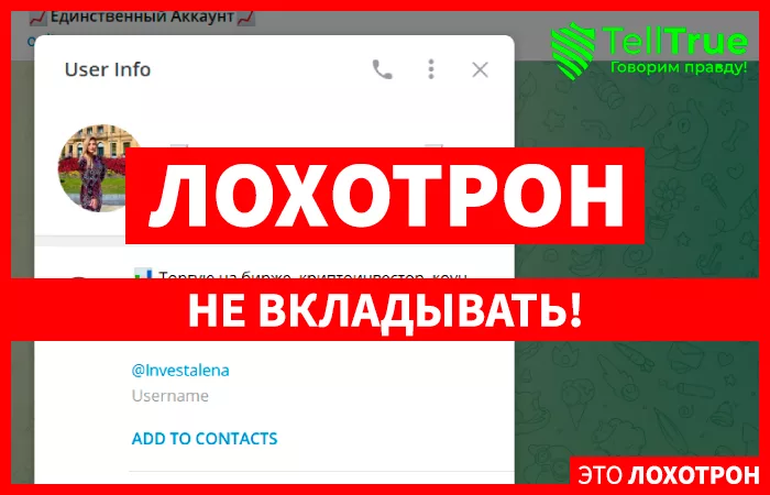 Инвест Алёна, @investalena, Единственный аккаунт