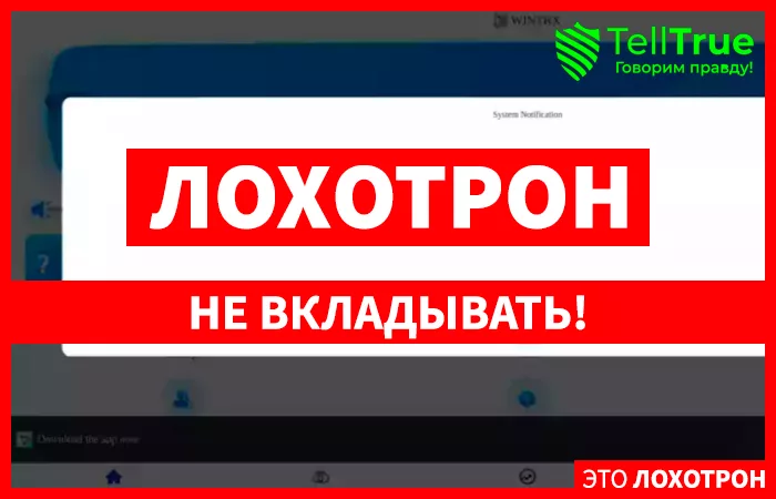 Wintrx (t.me/wintrx01)