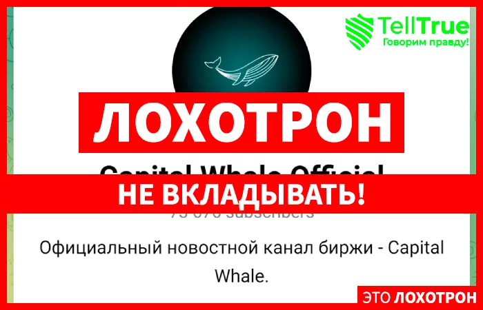Capital Whale Official