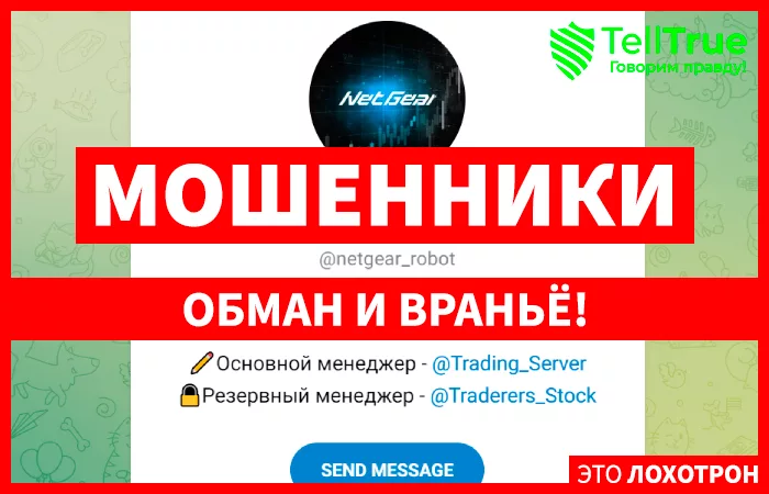 NetGear