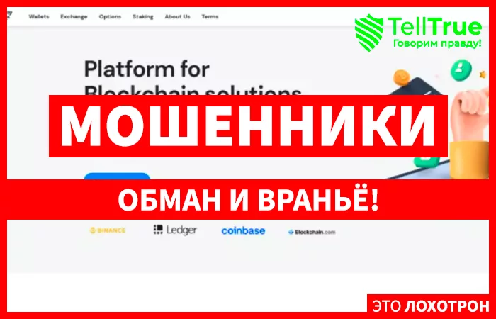 hark Exchanger (sharkexchanger.com)