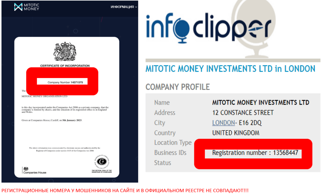 поддельный сертификат Mitotic Money