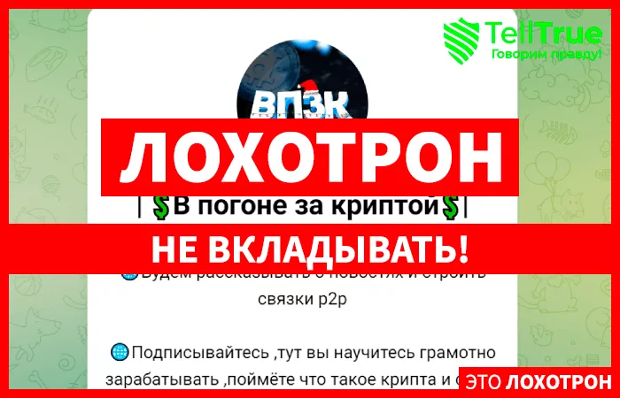 | 💲В погоне за криптой💲|