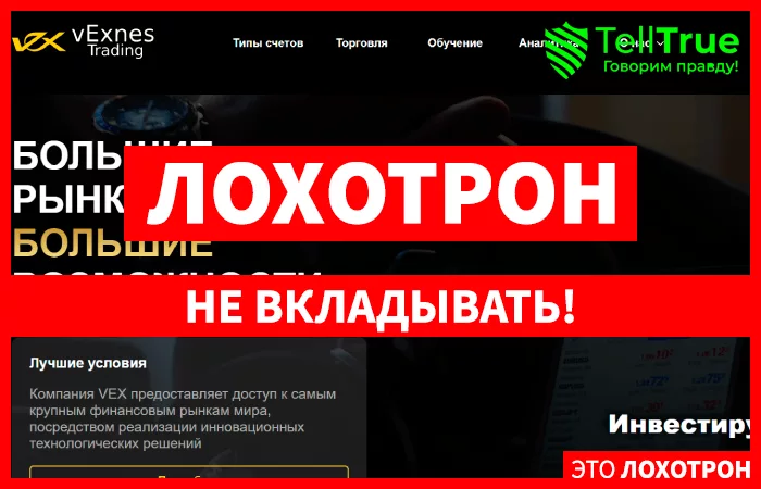 Vexnes (vex-t.com)
