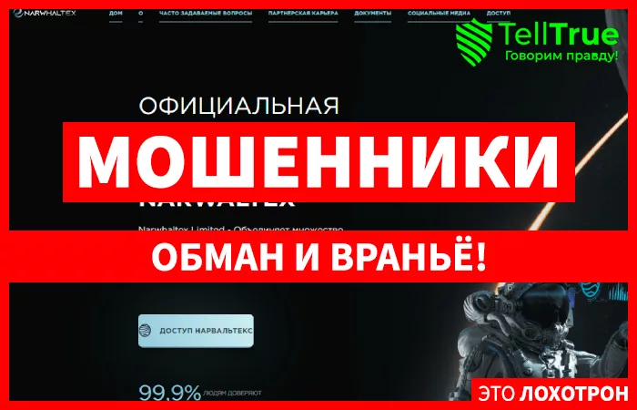 Narwhaltex Limited (narwhaltex.ltd)
