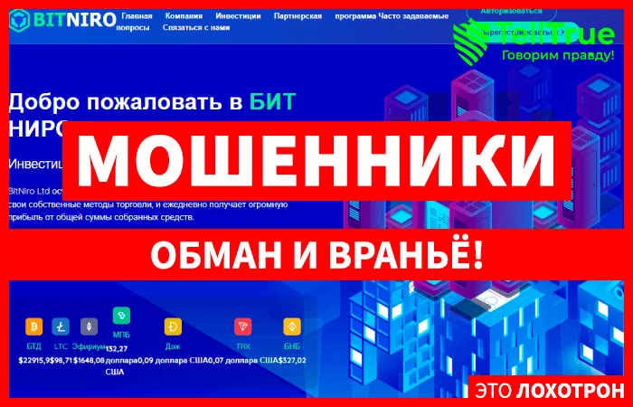 Bitniro (bitniro.top)