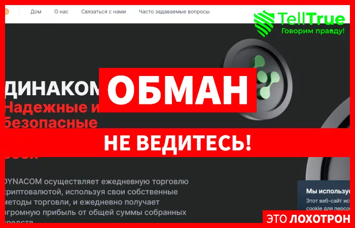 Dynacom (dynacom.store)