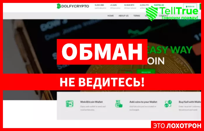 Псевдо Ведущая Биржа Криптовалют (dolfycrypto.com)