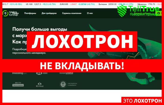 Veles Group