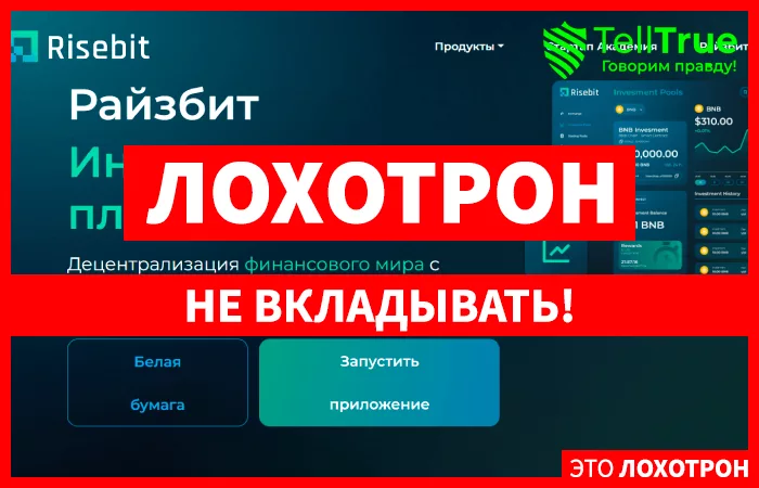 Risebit Investment (risebit.co)