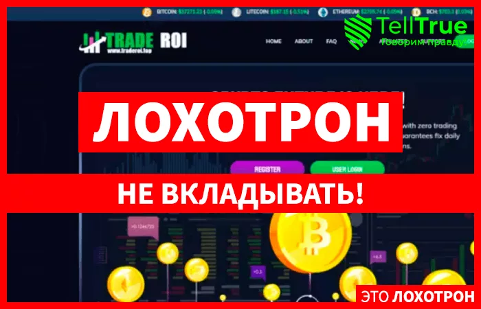 Traderoi (traderoi.top)