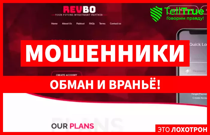 Revbo (revbo.co)