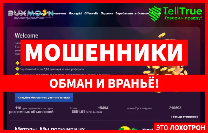 Buxmoon (buxmoon.com)