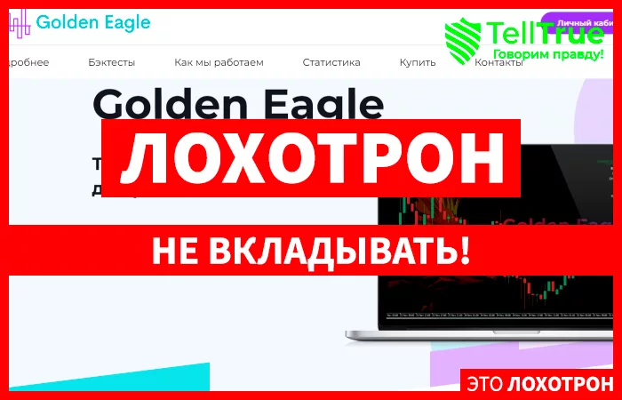 Golden Eagle